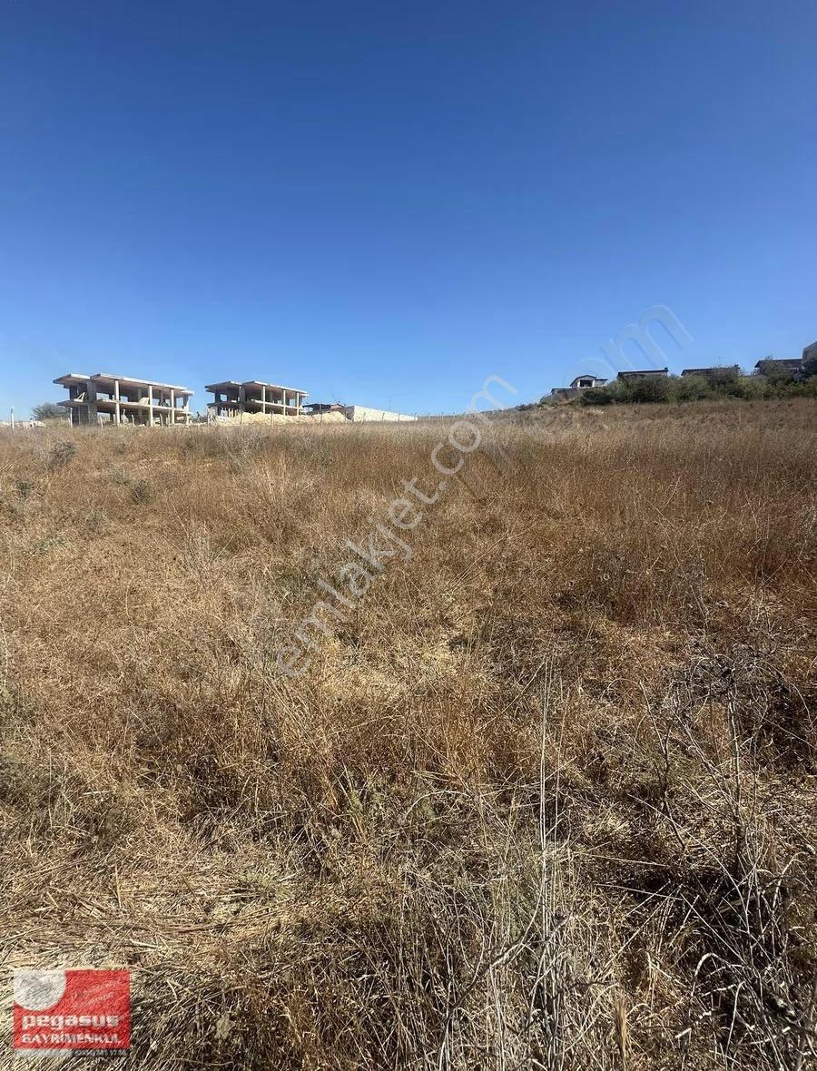 Pegasus'tan Adana Bayramhacılıda Villa İmarlı Arsa - Görsel 16