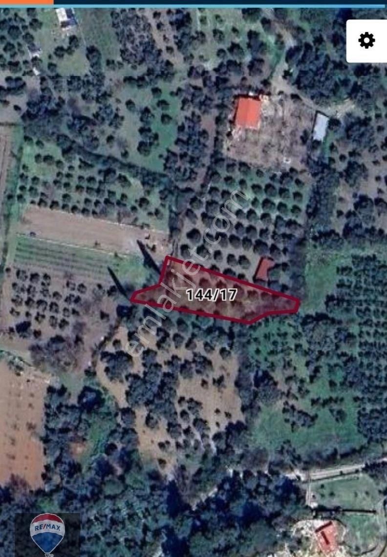 Kuşadası Kirazlıda Fırsat Bahçe - Görsel 3