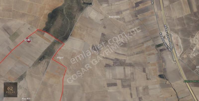 -coşar Gayrimenkul- Karakuyuda 4648m2 Satılık Tarla Yolu Açık - Görsel 2