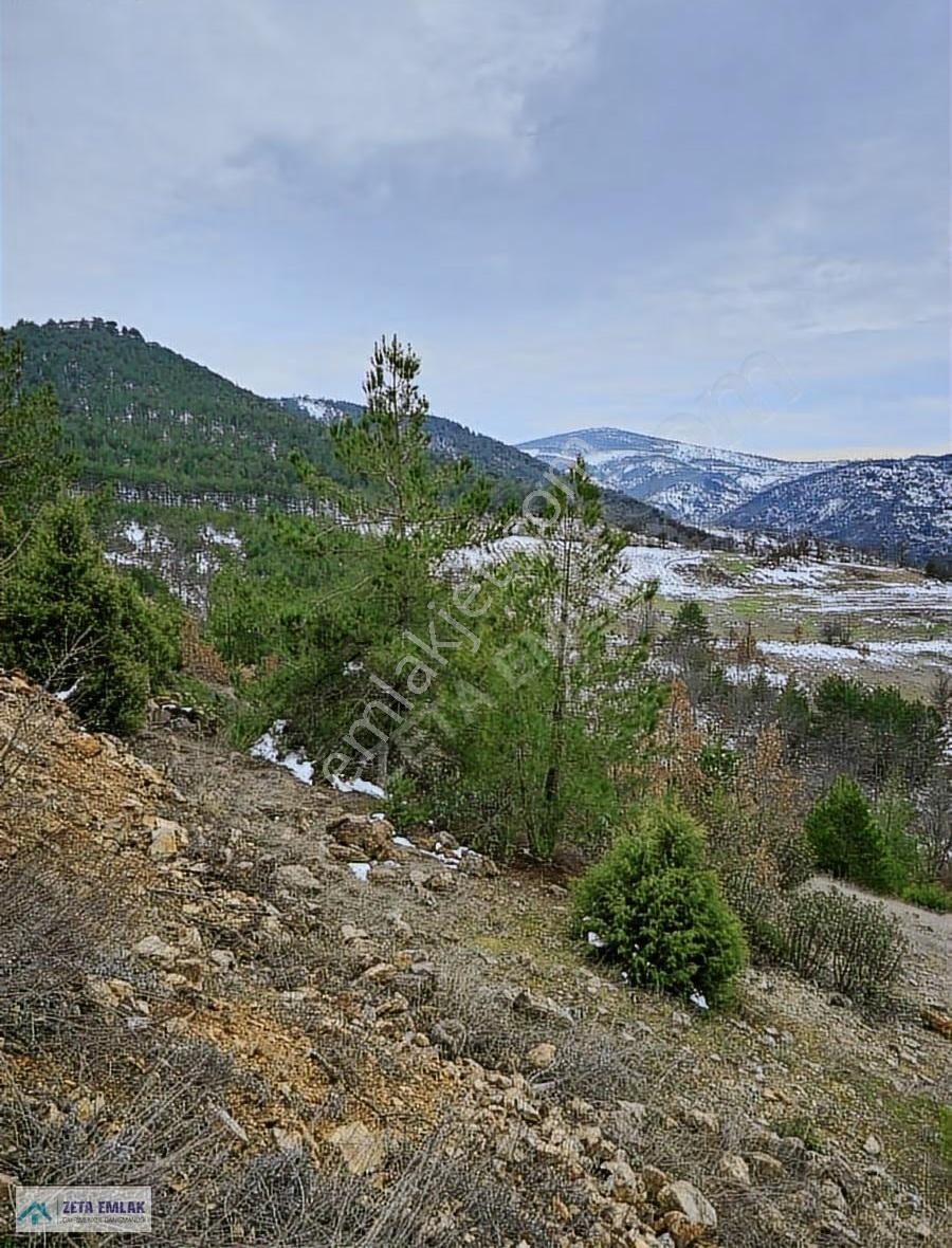 Bursa Büyükorhan Sarnıç'ta 1003m² Yatırımlık Arsa - Görsel 13