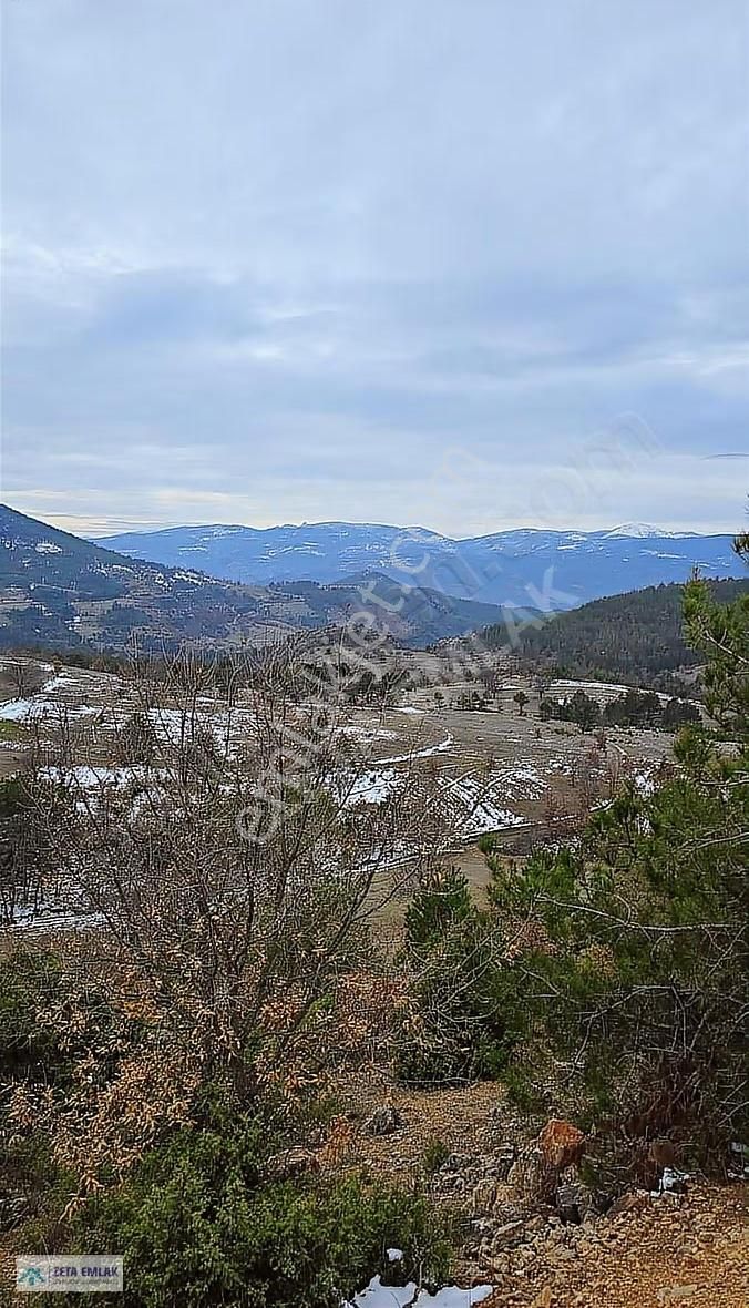 Bursa Büyükorhan Sarnıç'ta 1003m² Yatırımlık Arsa