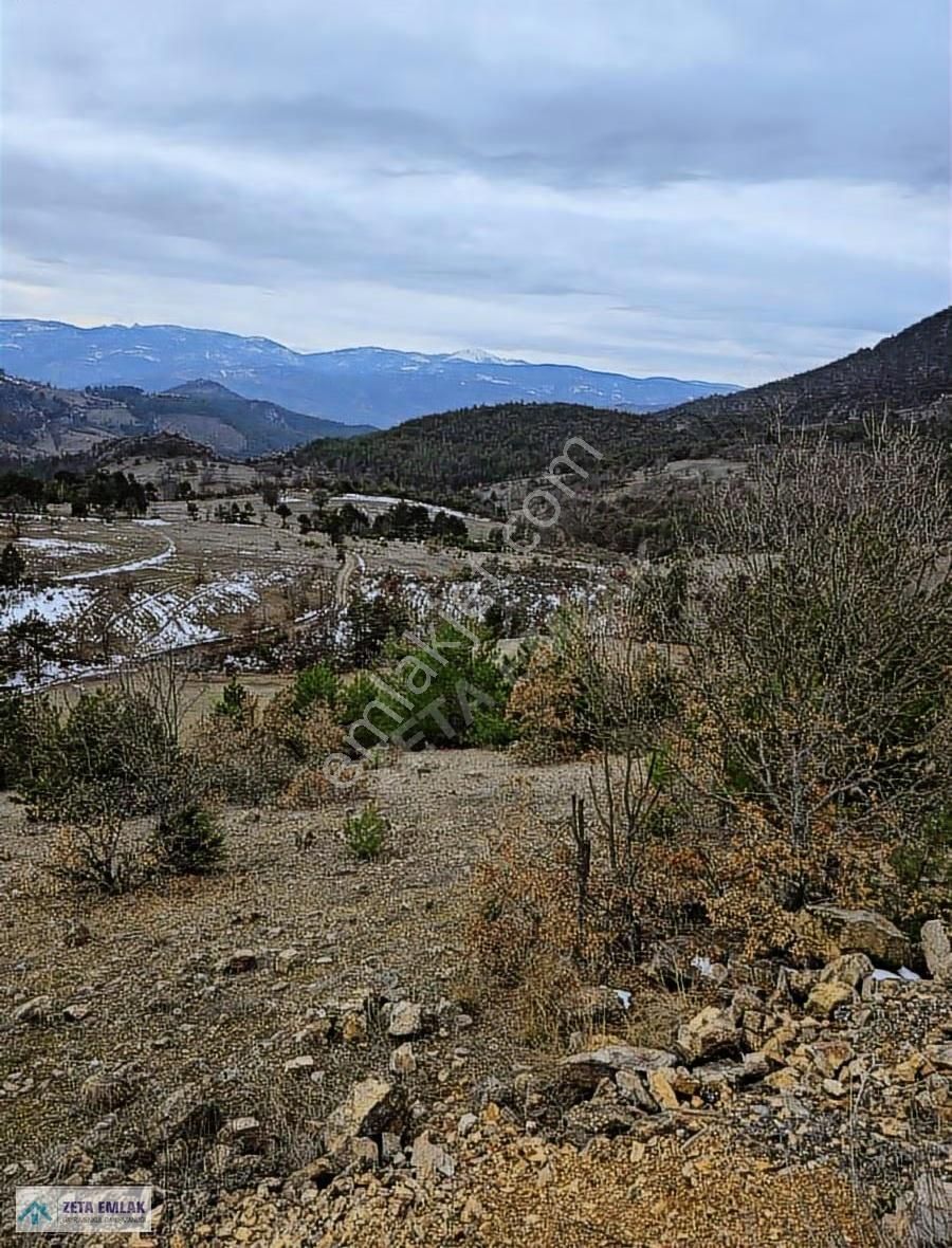 Bursa Büyükorhan Sarnıç'ta 1003m² Yatırımlık Arsa - Görsel 9