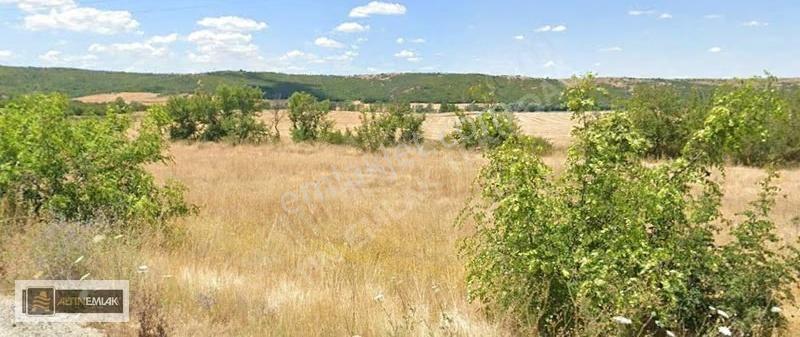 Tekirdağ Ferhadanlı'da Satılık 1880 M2 Bağ-bahçe Yeri - Görsel 6