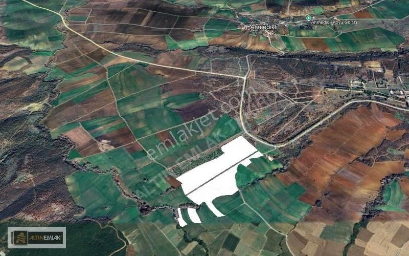 Tekirdağ Ferhadanlı'da Satılık 1880 M2 Bağ-bahçe Yeri - Görsel 8