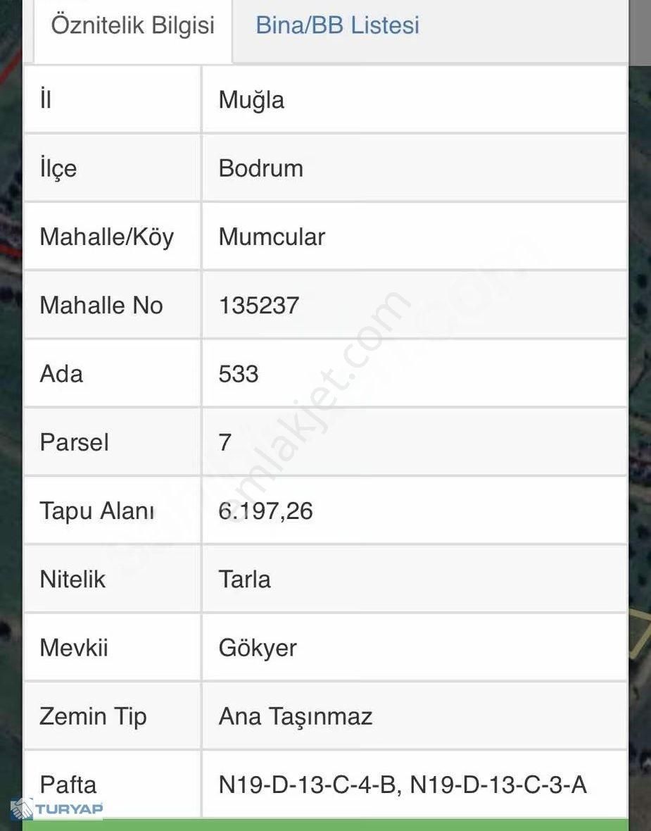 Mumcular'da Satılık Fırsat Arsa 6197 M2 - Görsel 5