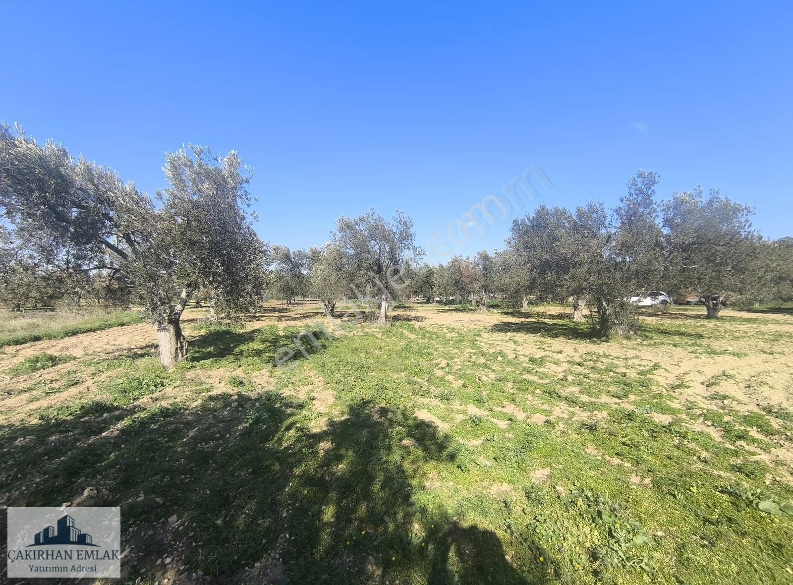 Şakran Bozburun Mevki Harika Lokasyon Satılık İmarlı Arsa - Görsel 8