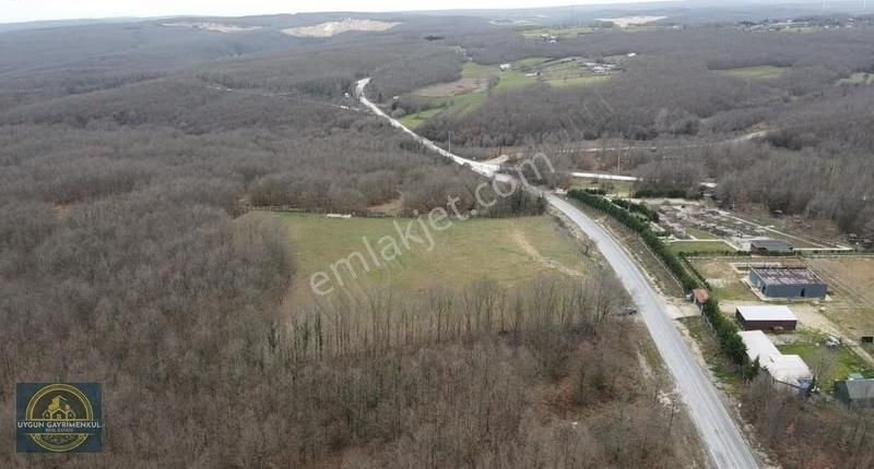 Mustakil Tapu Silivri Danamandıra Yola Cephe Satılık Arsa - Görsel 3