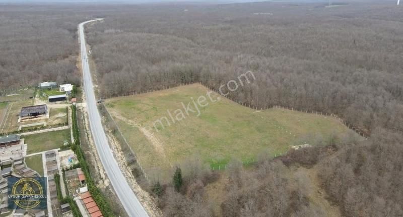 Mustakil Tapu Silivri Danamandıra Yola Cephe Satılık Arsa