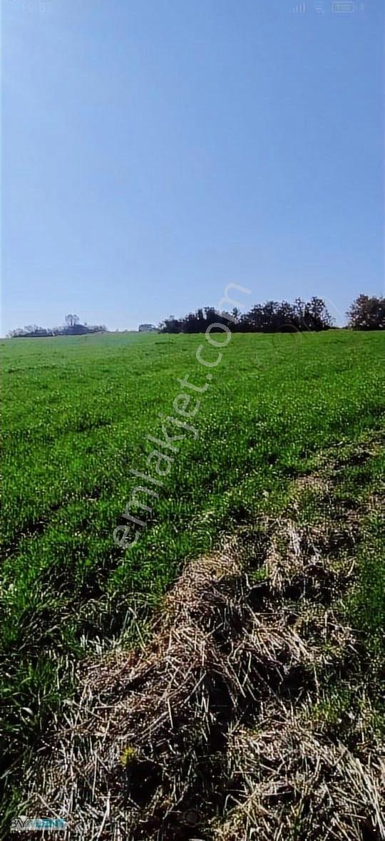 Bay-lent'den Paşaköy'de Yola Cepheli Satılık 2 Adet Tarla - Görsel 5