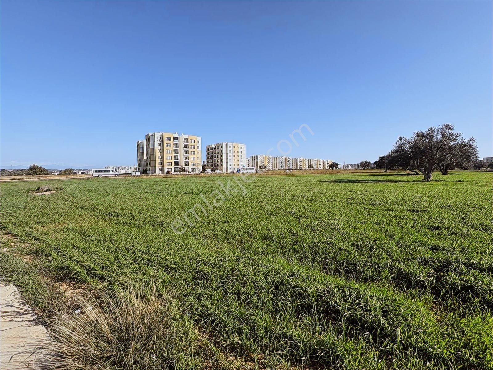 Buruk Toki'lerde Fırsat Bulvara 2. Parsel Yoğunluklı Arsa