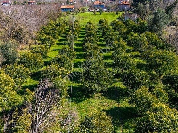 Muğla Köyceğizde Satılık Tarla Ve Müstakil Daıreler - Görsel 5