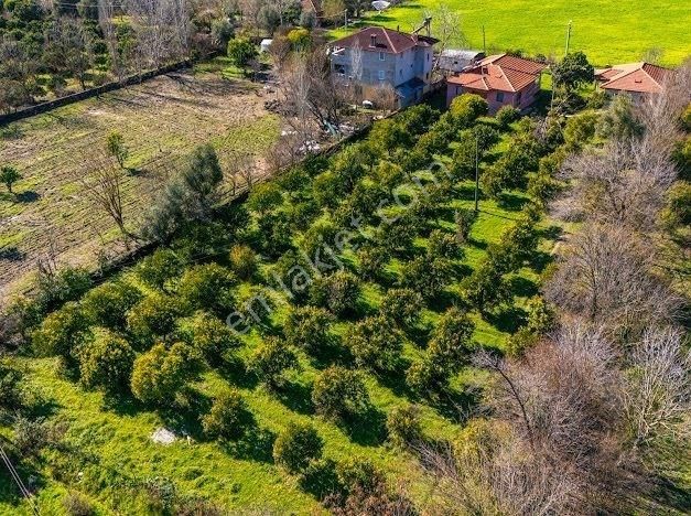 Muğla Köyceğizde Satılık Tarla Ve Müstakil Daıreler - Görsel 10