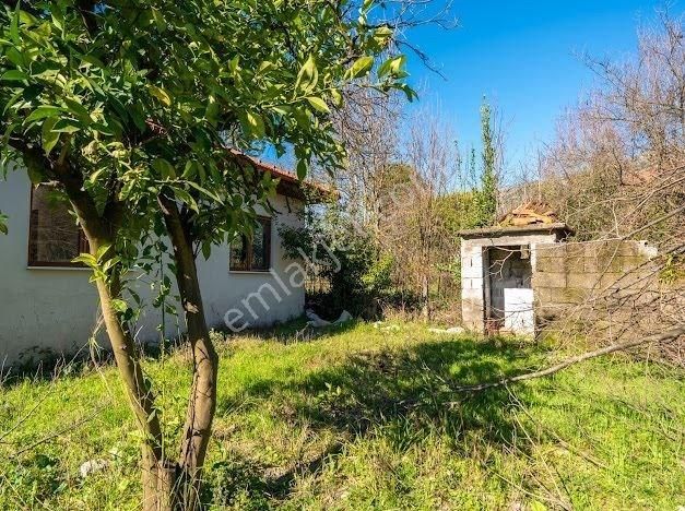 Muğla Köyceğizde Satılık Tarla Ve Müstakil Daıreler - Görsel 29