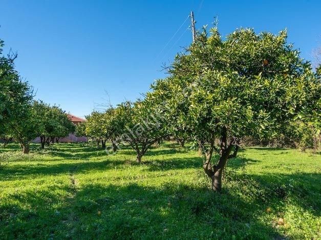 Muğla Köyceğizde Satılık Tarla Ve Müstakil Daıreler - Görsel 32