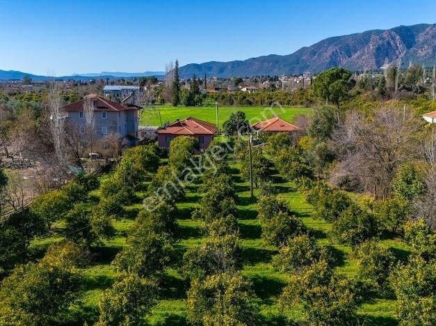 Muğla Köyceğizde Satılık Tarla Ve Müstakil Daıreler - Görsel 6
