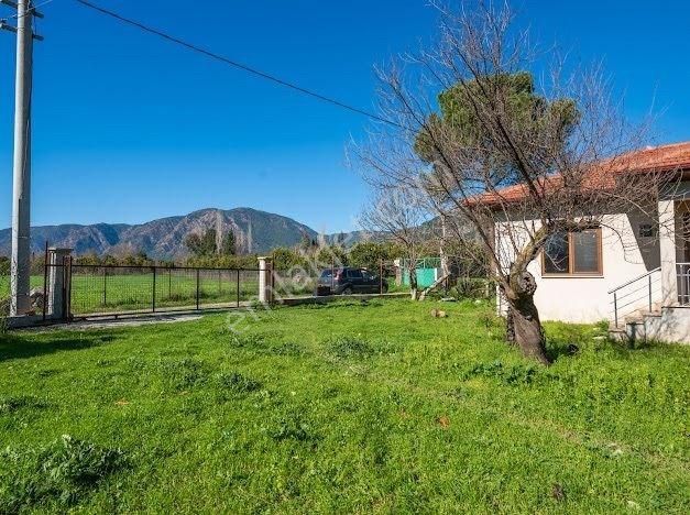 Muğla Köyceğizde Satılık Tarla Ve Müstakil Daıreler - Görsel 34