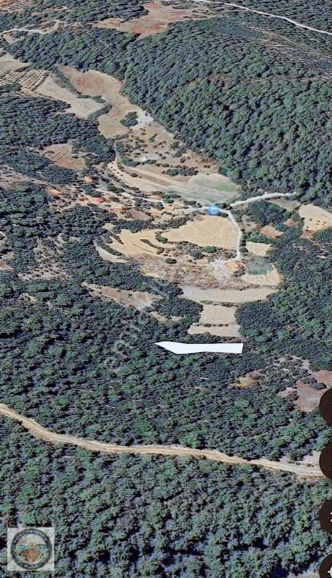 Muğla Ula Armutçukta Satılık Doğanın Kalbinde Yatırım Fırsatı! - Görsel 2