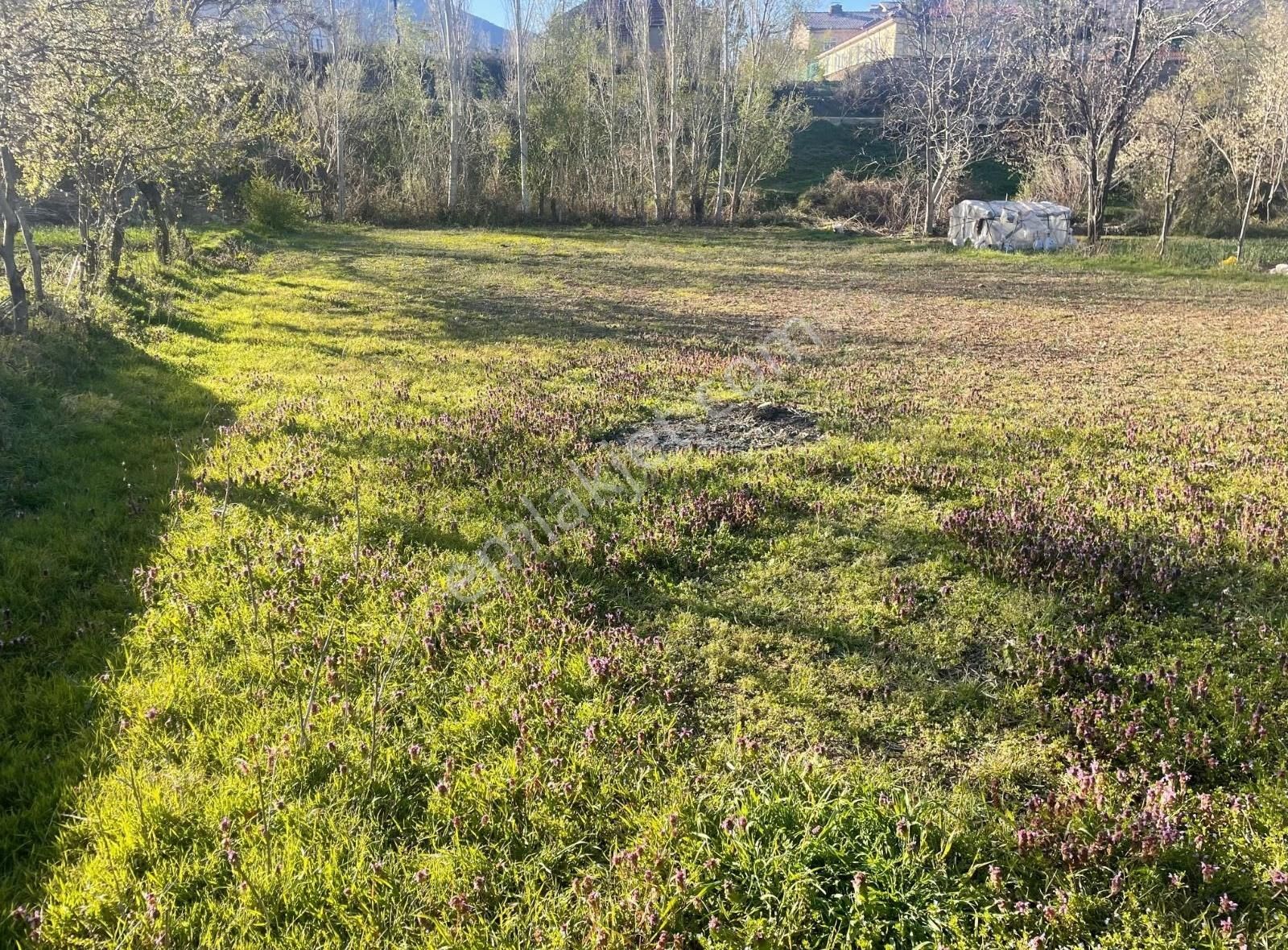 Konya Seydişehir Taraşcı Da Satılık Bahce Köyiçi İki Kat İmarlı - Görsel 2