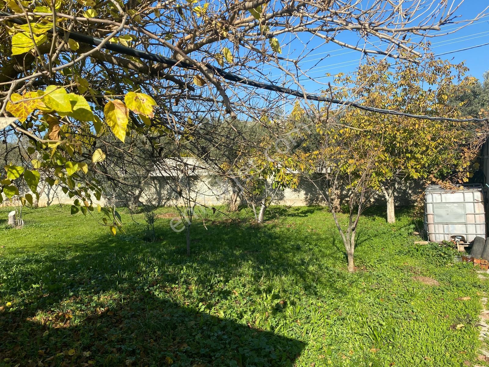 Menderes Oğlananası'nda İçerisinde 2+1 Evi Olan 809 M2 Bahçe - Görsel 8