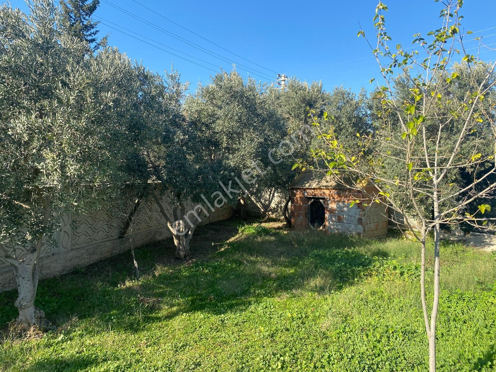 Menderes Oğlananası'nda İçerisinde 2+1 Evi Olan 809 M2 Bahçe - Görsel 3