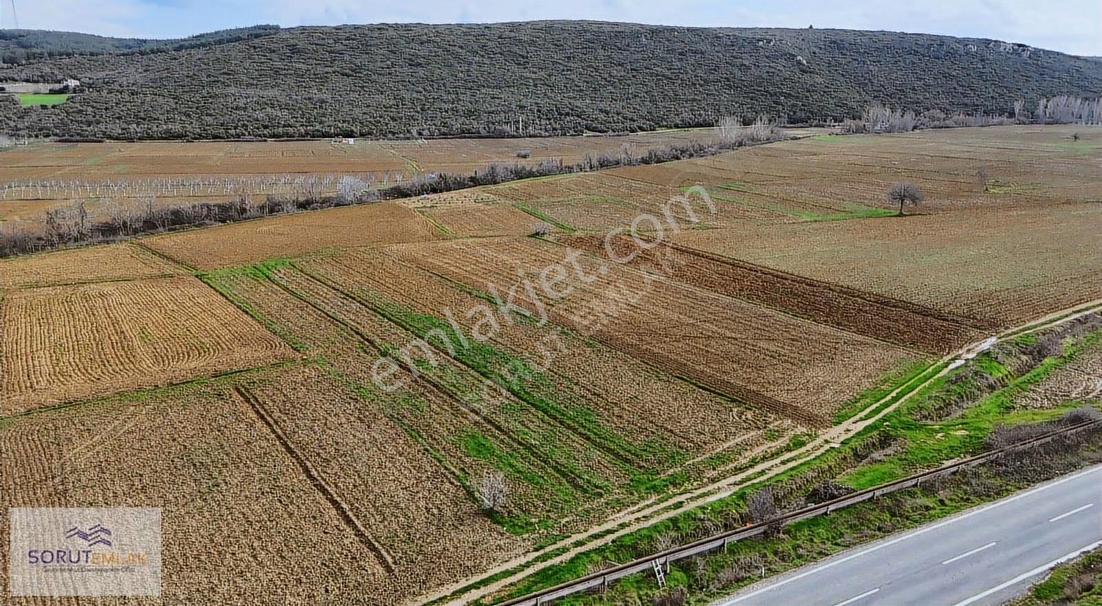 Keşan Mecidiye Sahil Yoluna Cephe 1.240 M² Satılık Tarla - Görsel 23