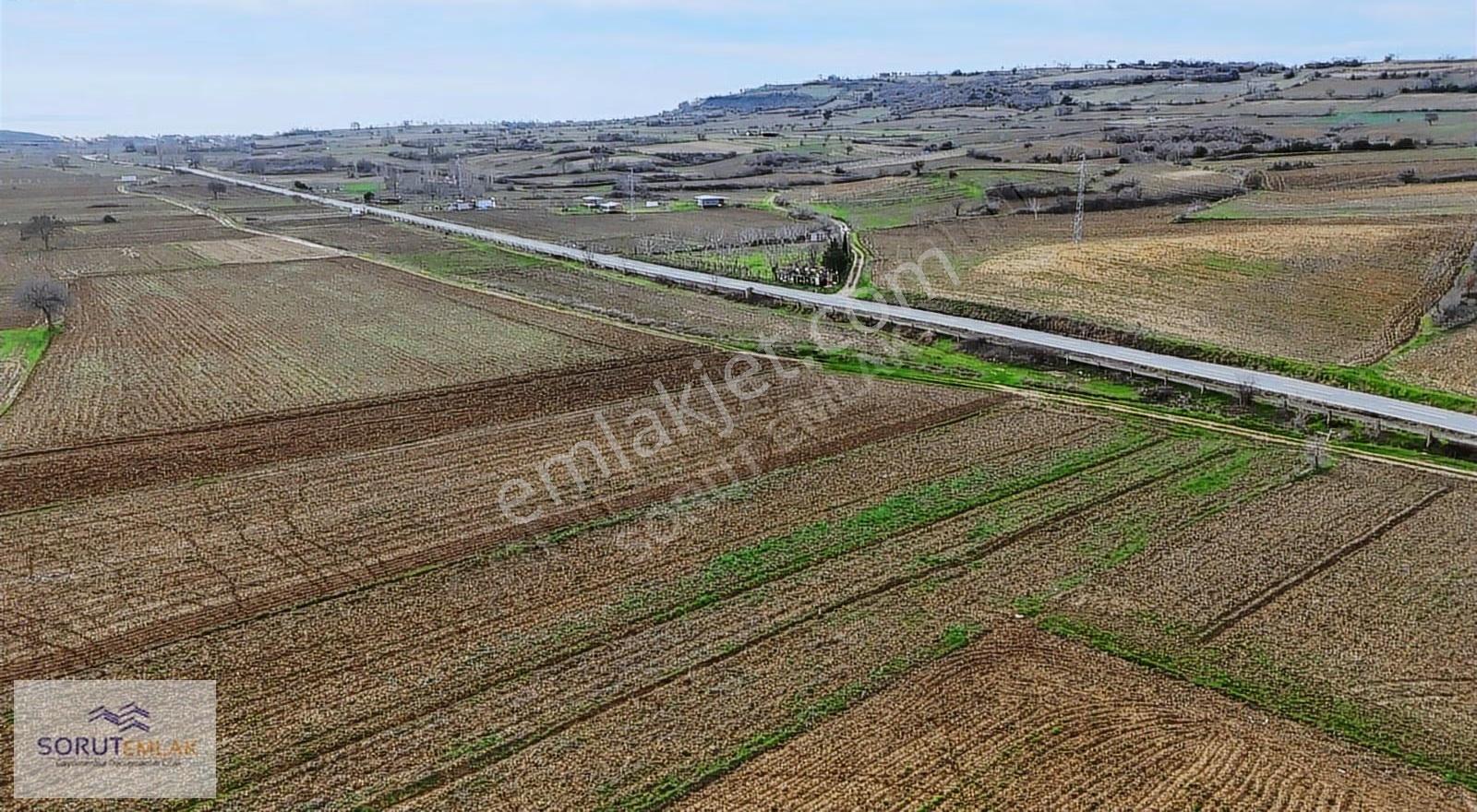 Keşan Mecidiye Sahil Yoluna Cephe 1.240 M² Satılık Tarla - Görsel 9
