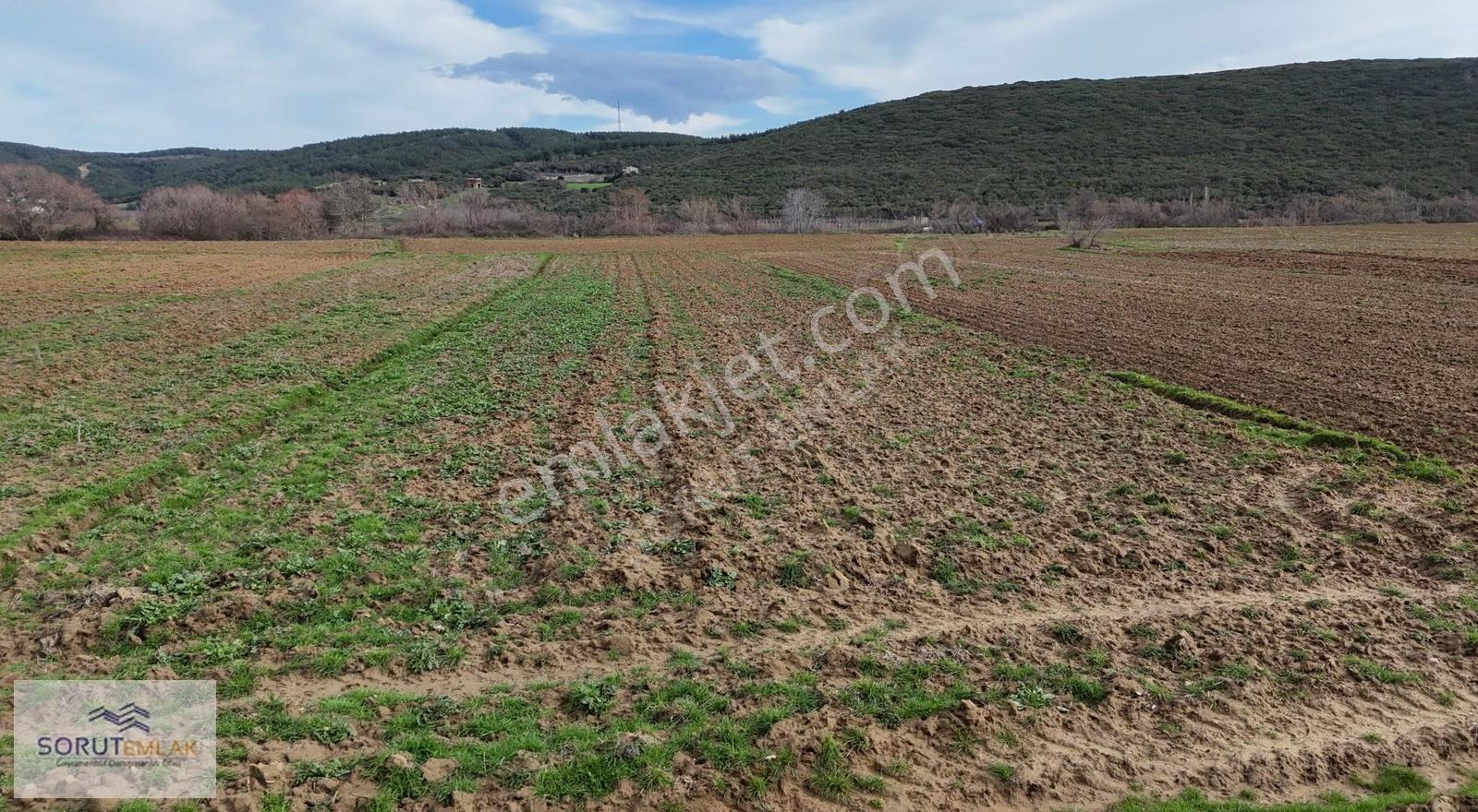 Keşan Mecidiye Sahil Yoluna Cephe 1.240 M² Satılık Tarla - Görsel 12