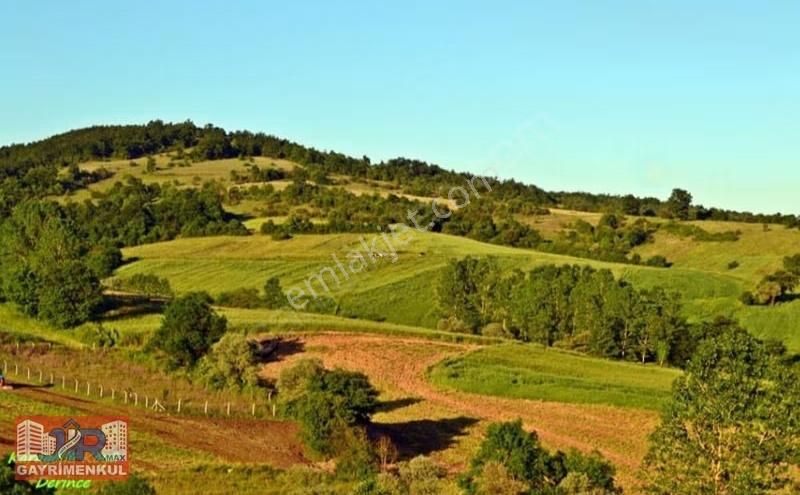 Derince Karagöllüde Acil Satılık Hisseli Tarla | 2183 M² - Görsel 10