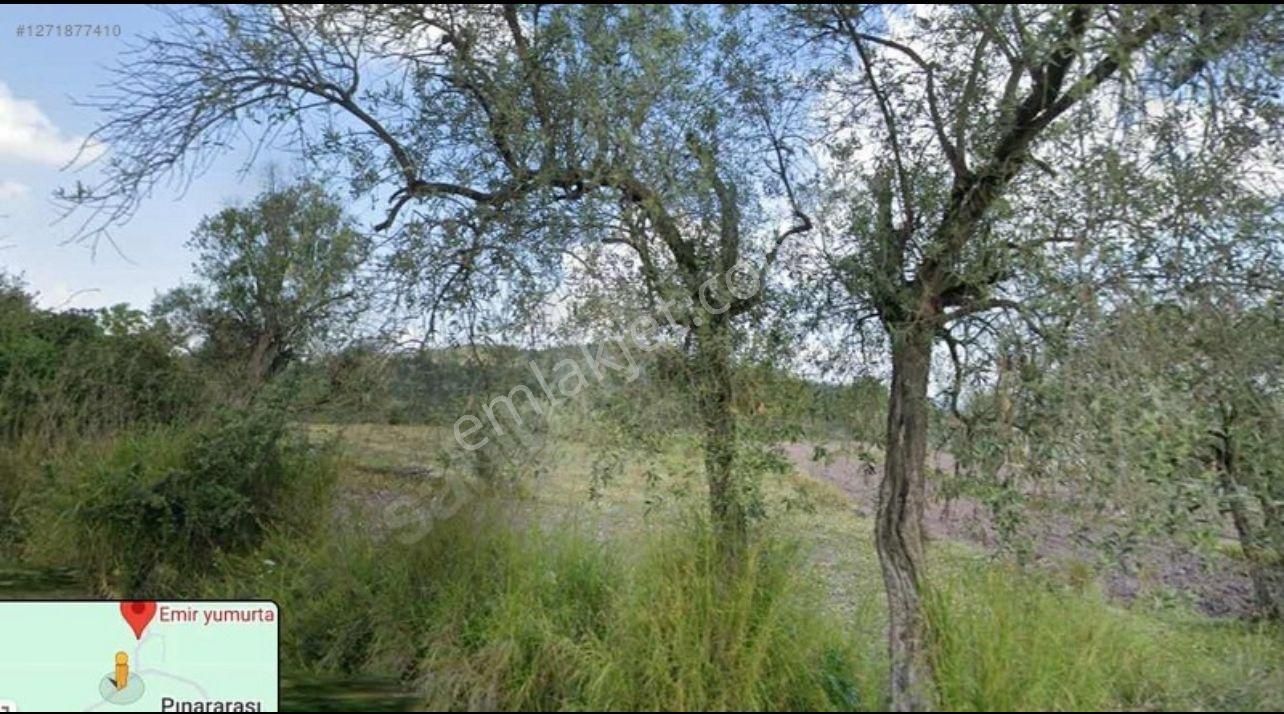 Yola 190 M Uzaklıkta Olan 1 Buçuk Dönüm Yatırımlık Arsa - Görsel 7