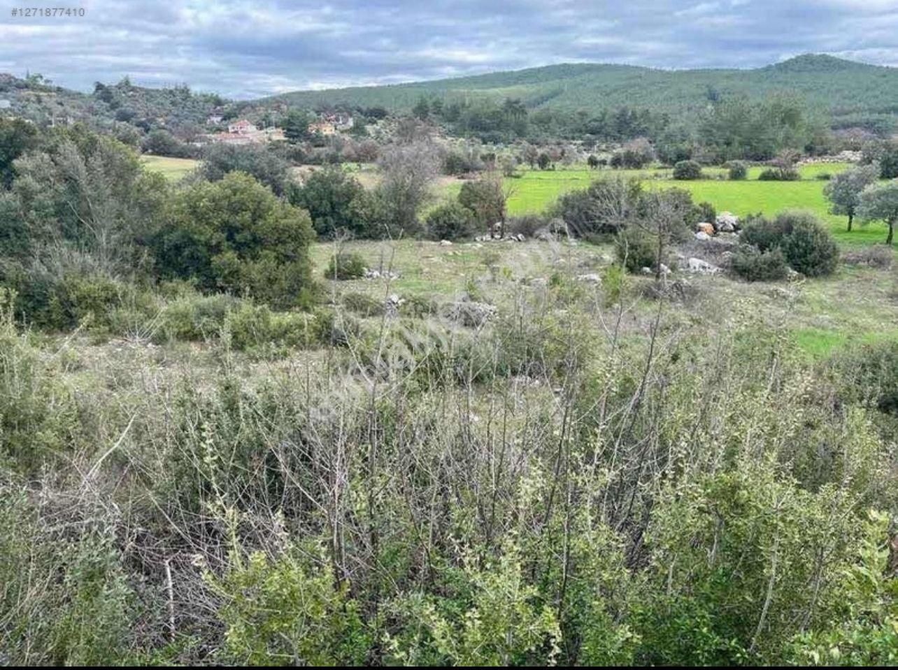 Yola 190 M Uzaklıkta Olan 1 Buçuk Dönüm Yatırımlık Arsa - Görsel 6