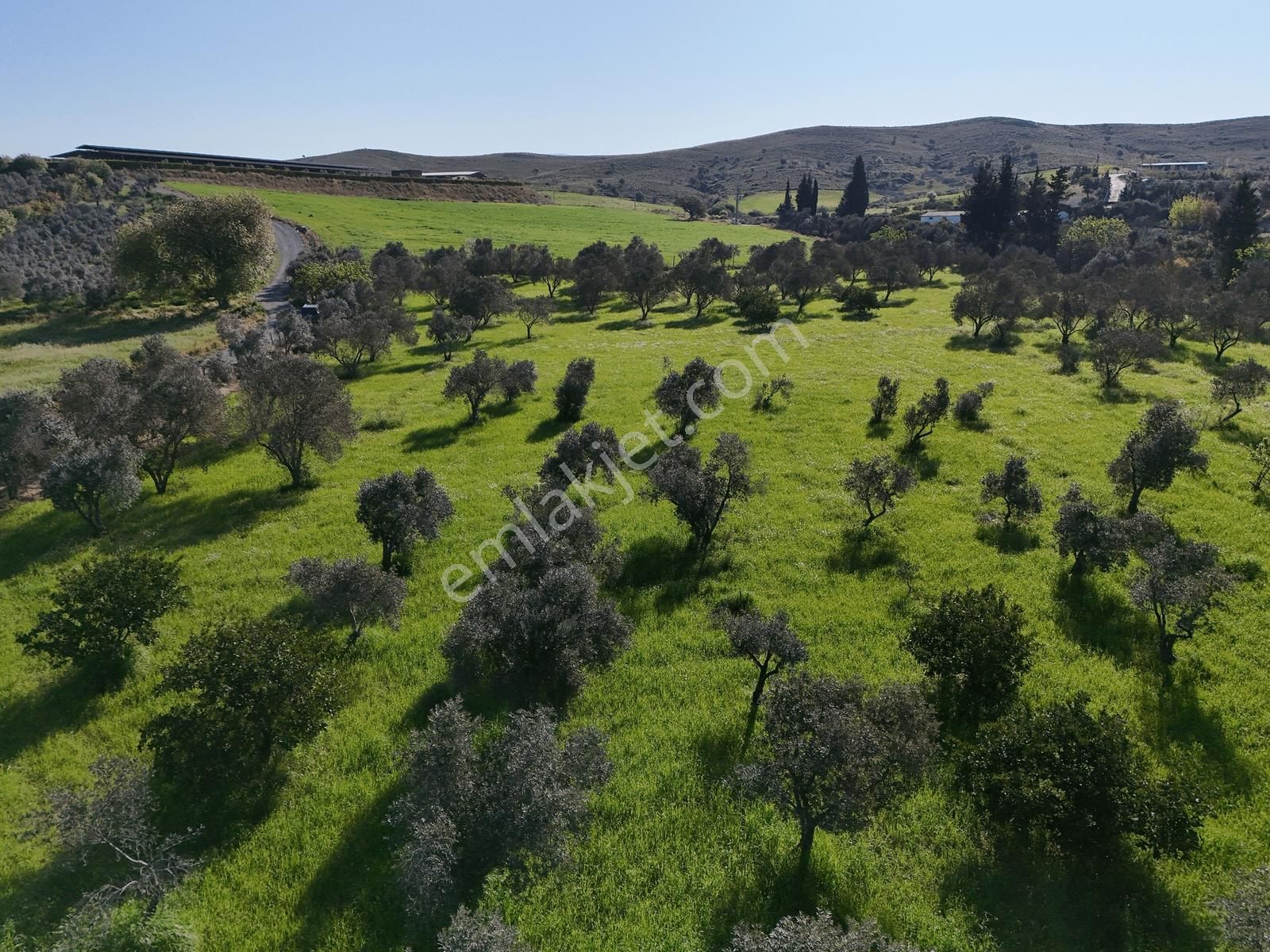 2 Numaratajı Olan 12 Dönüm Arazi. Denize Ve Merkeze 10 Dk. - Görsel 3
