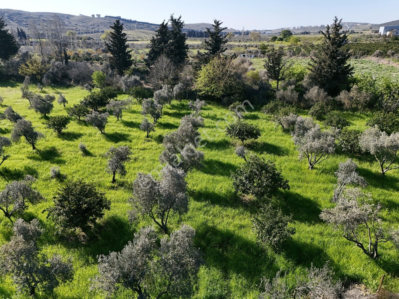 2 Numaratajı Olan 12 Dönüm Arazi. Denize Ve Merkeze 10 Dk. - Görsel 5