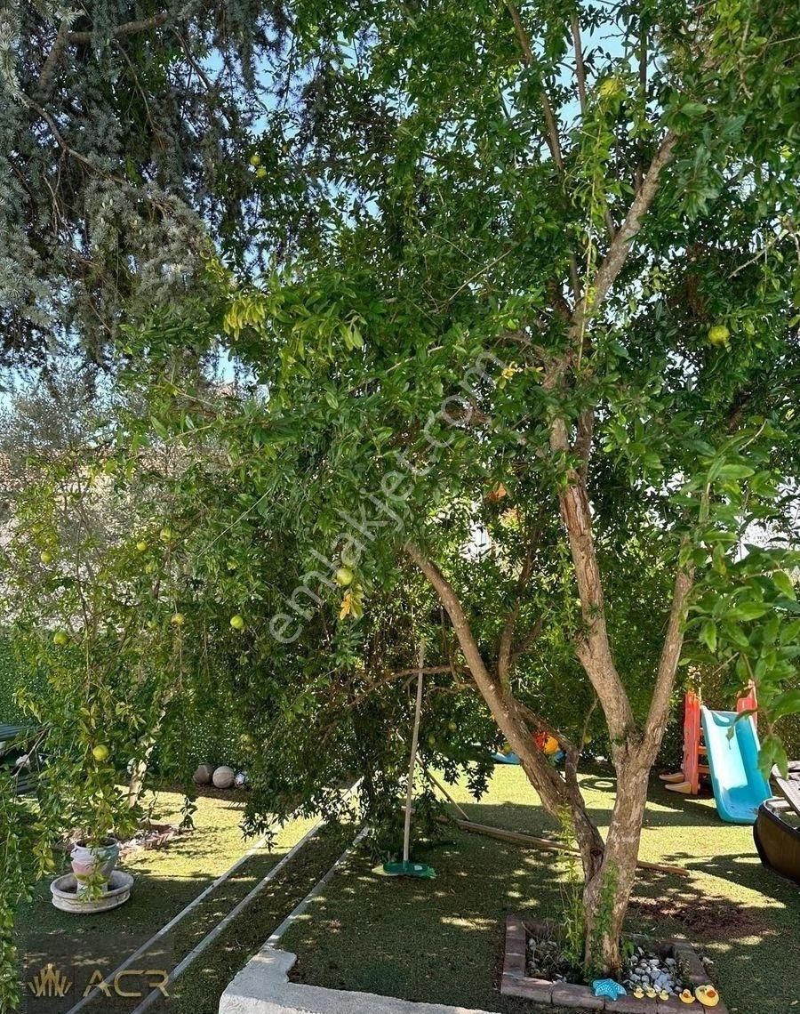 Acr Gyd'den Şile Kabakoz'da Plaja Yakın Havuzlu Satılık Villa - Görsel 11