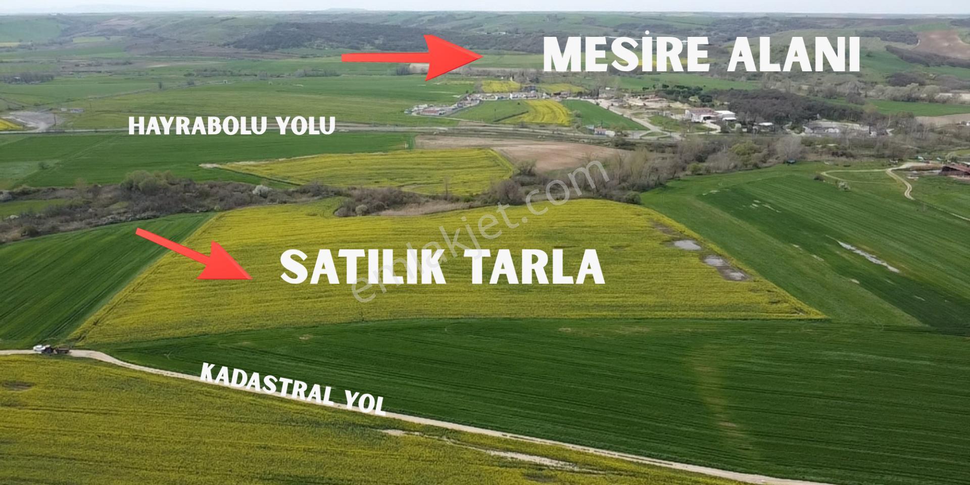 Muratlı'da Osb Ve Ulaşıma Yakın 57.6 Dönüm Tarla - Görsel 9