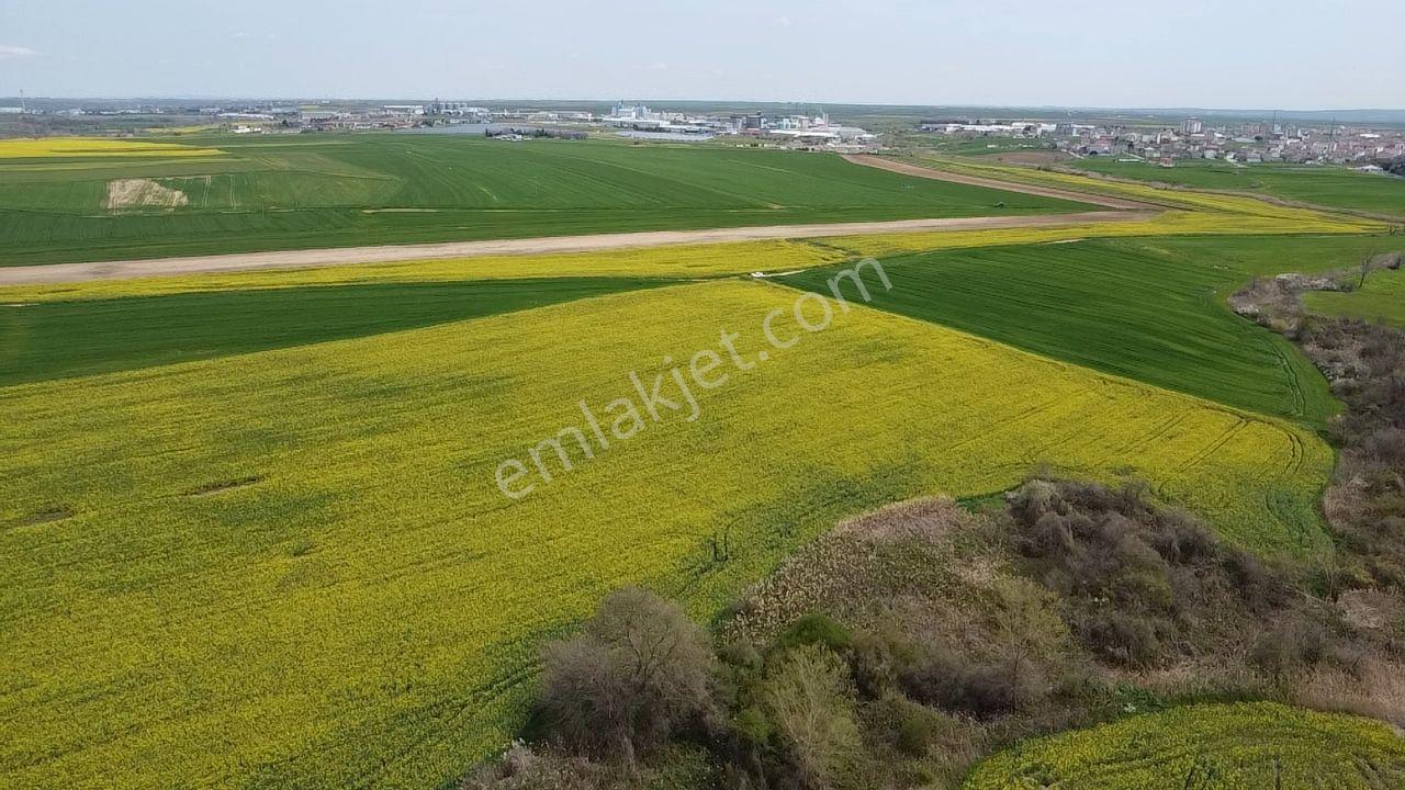 Muratlı'da Osb Ve Ulaşıma Yakın 57.6 Dönüm Tarla - Görsel 6