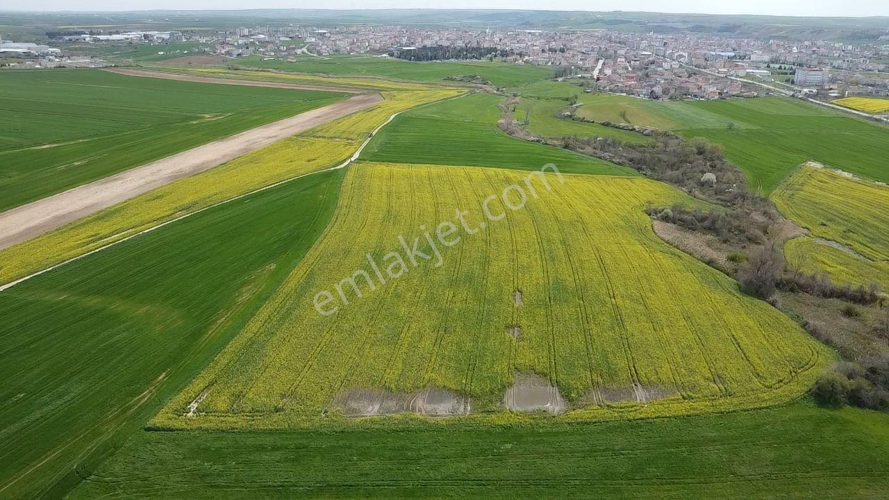 Muratlı'da Osb Ve Ulaşıma Yakın 57.6 Dönüm Tarla - Görsel 14