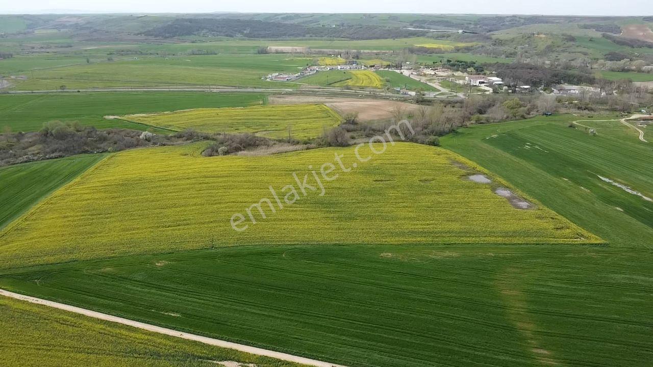 Muratlı'da Osb Ve Ulaşıma Yakın 57.6 Dönüm Tarla - Görsel 16
