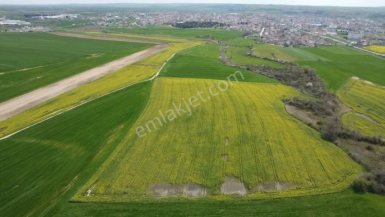 Muratlı'da Osb Ve Ulaşıma Yakın 57.6 Dönüm Tarla - Görsel 2