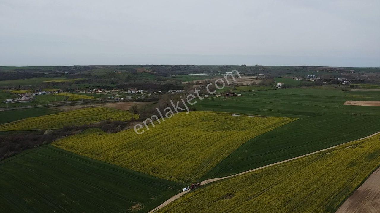 Muratlı'da Osb Ve Ulaşıma Yakın 57.6 Dönüm Tarla - Görsel 18