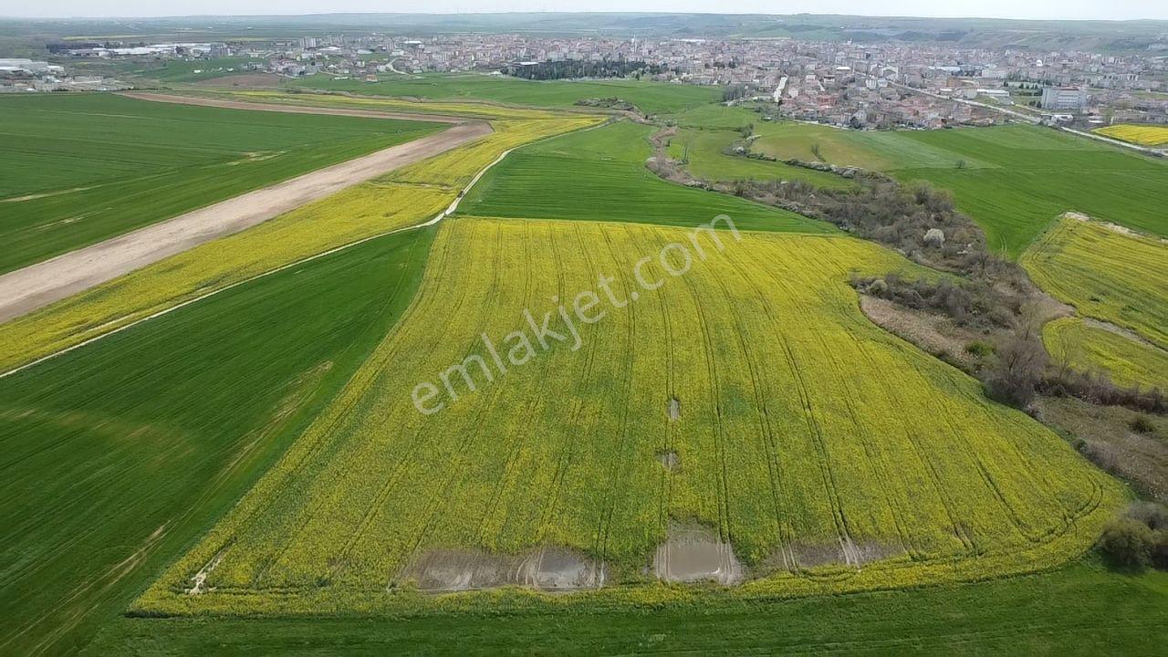 Muratlı'da Osb Ve Ulaşıma Yakın 57.6 Dönüm Tarla - Görsel 19