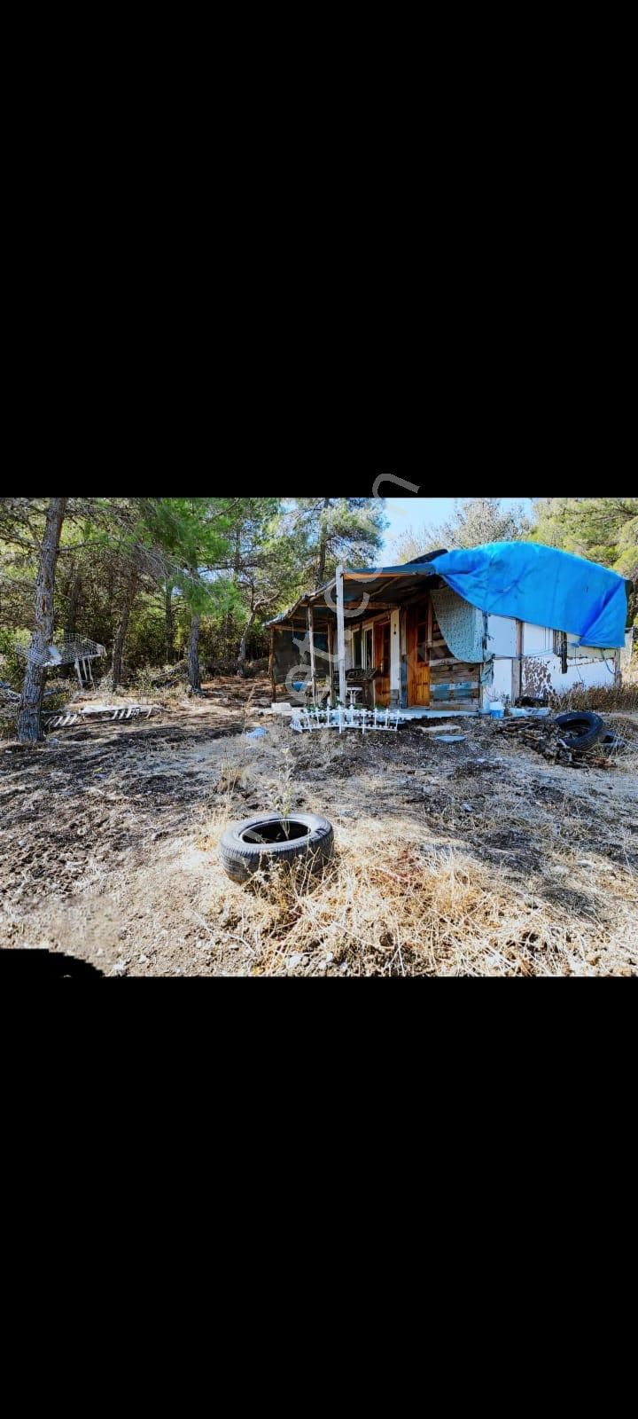 Bergama Zeytindağ Satılık Tek Tapu Tarla - Görsel 10