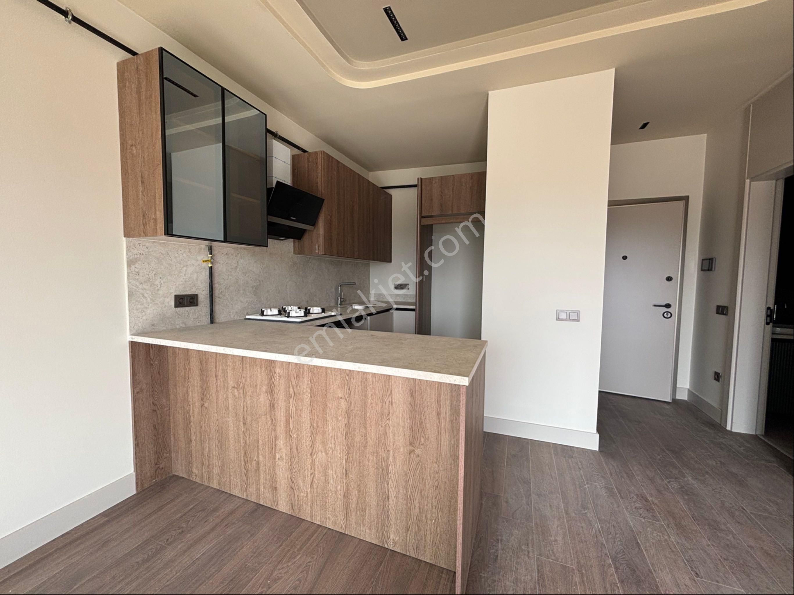 Sırıus Modern Altıntaş’ta Lüks Sitede 1+1 Kiralık Daire - Görsel 14