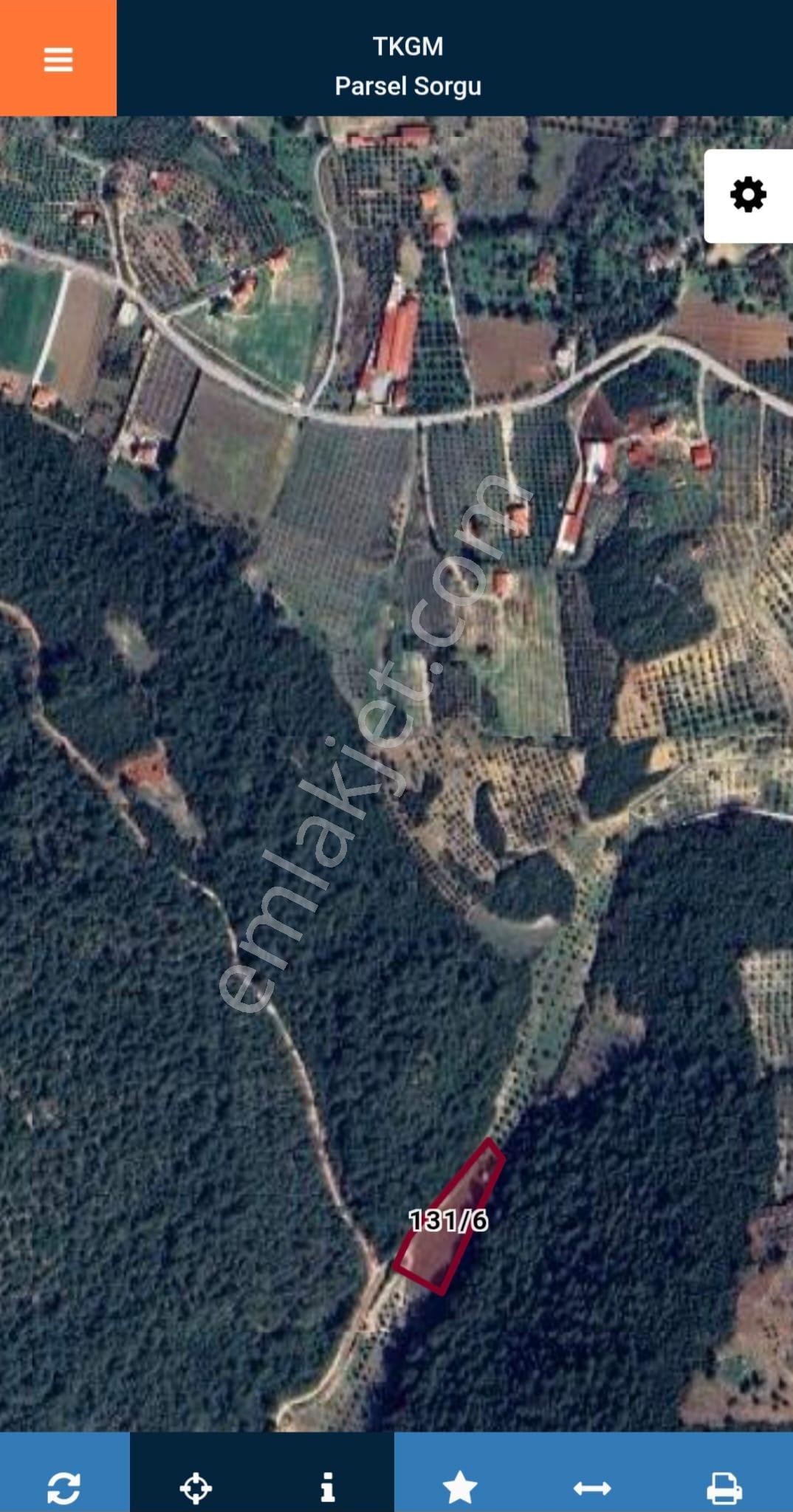 Kuşadası Yeniköy'de Doğa'nın Kalbinde 4 Dönüm Tek Tapu Tarla - Görsel 7