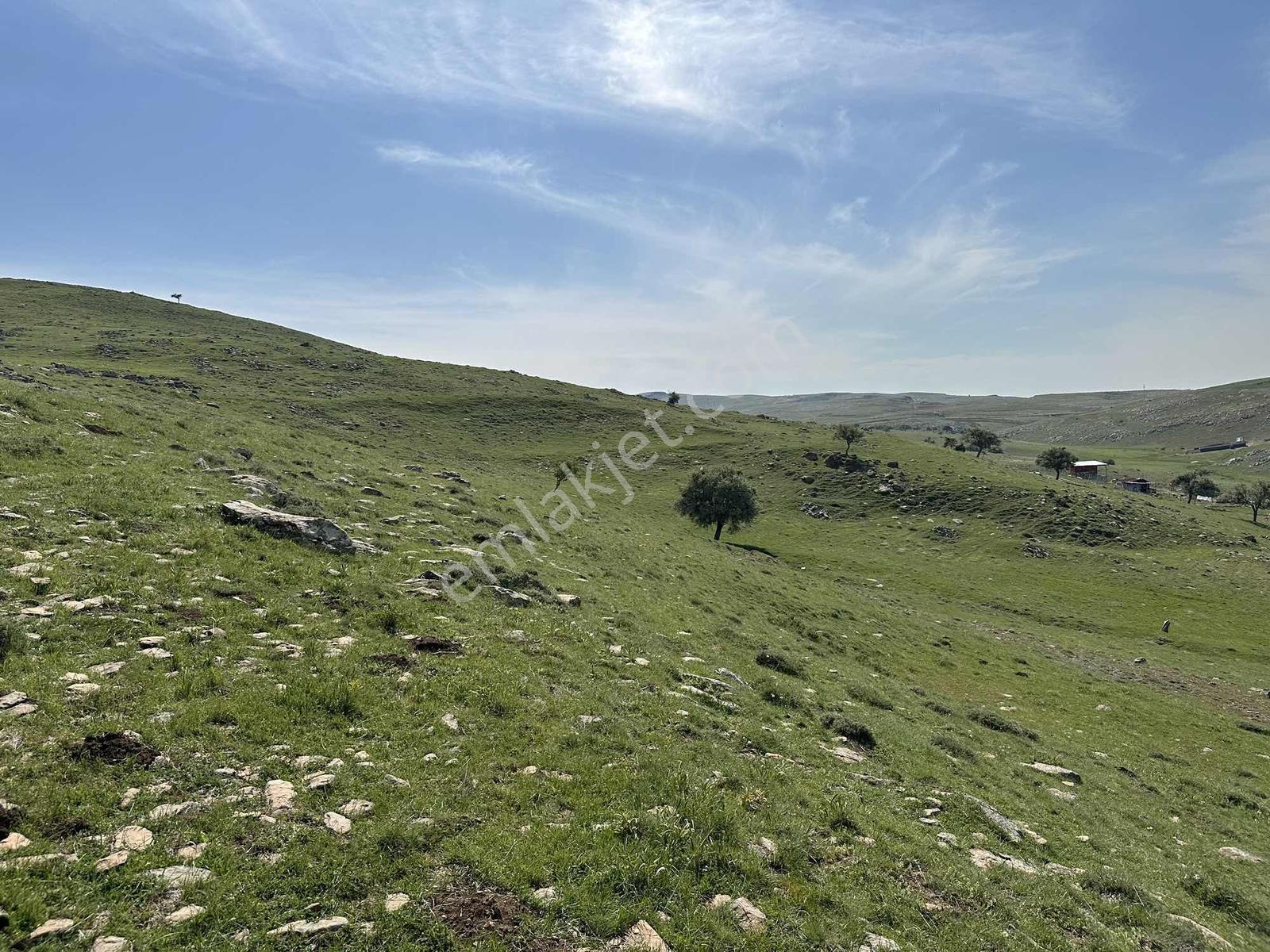 Kıbrıs Beşpınar Mevkii Yatırımlık 193 M2 Hisse - Görsel 12