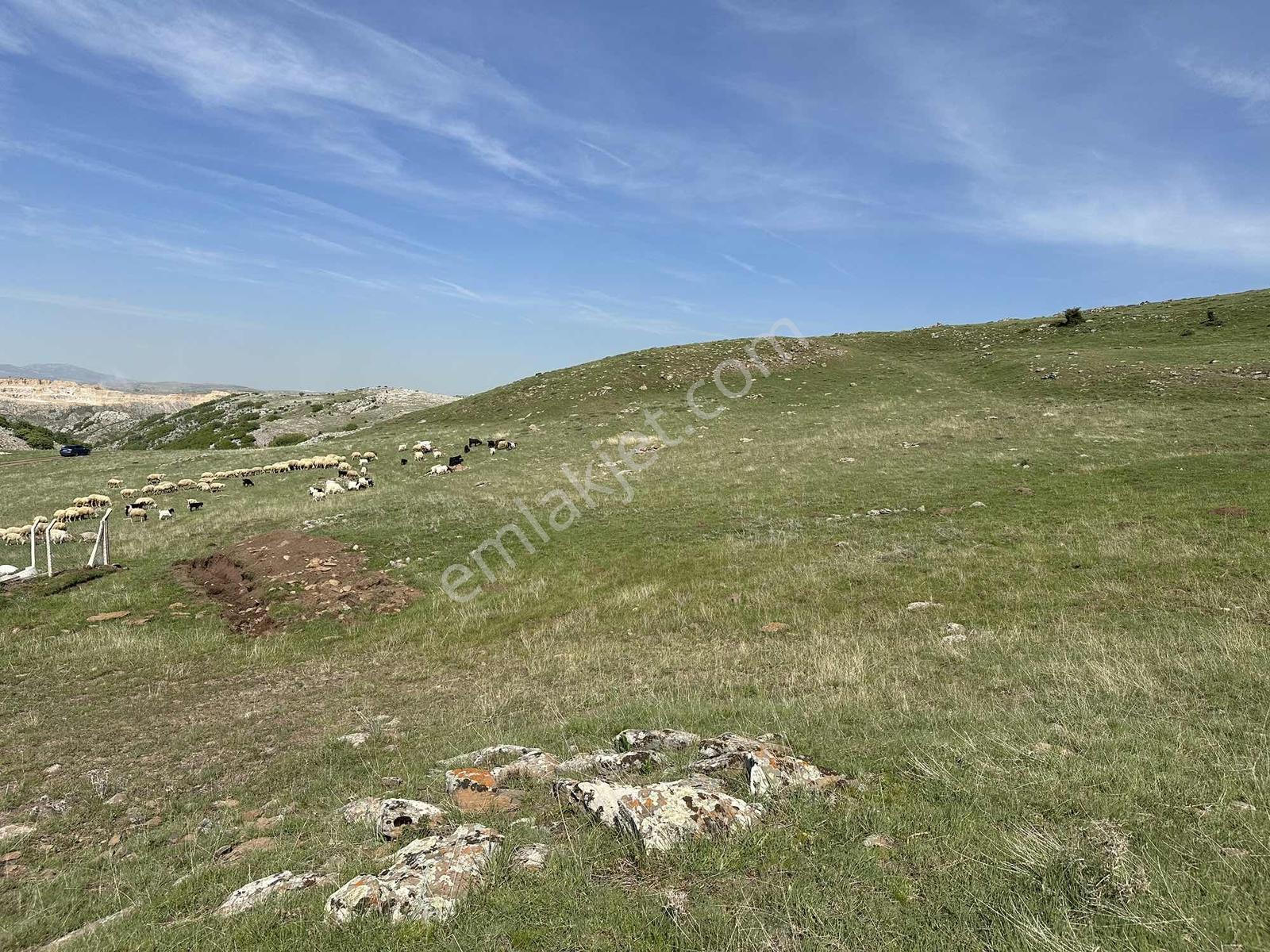 Kıbrıs Beşpınar Mevkii Yatırımlık 193 M2 Hisse - Görsel 16