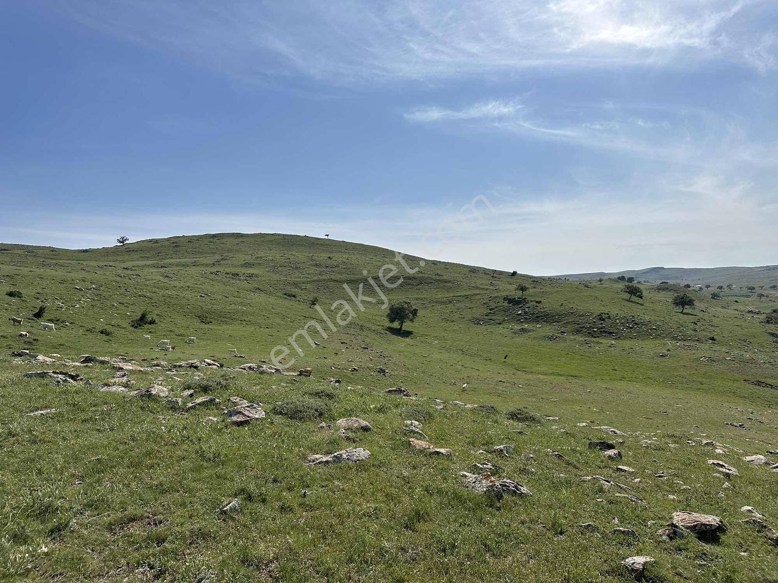 Kıbrıs Beşpınar Mevkii Yatırımlık 193 M2 Hisse - Görsel 11