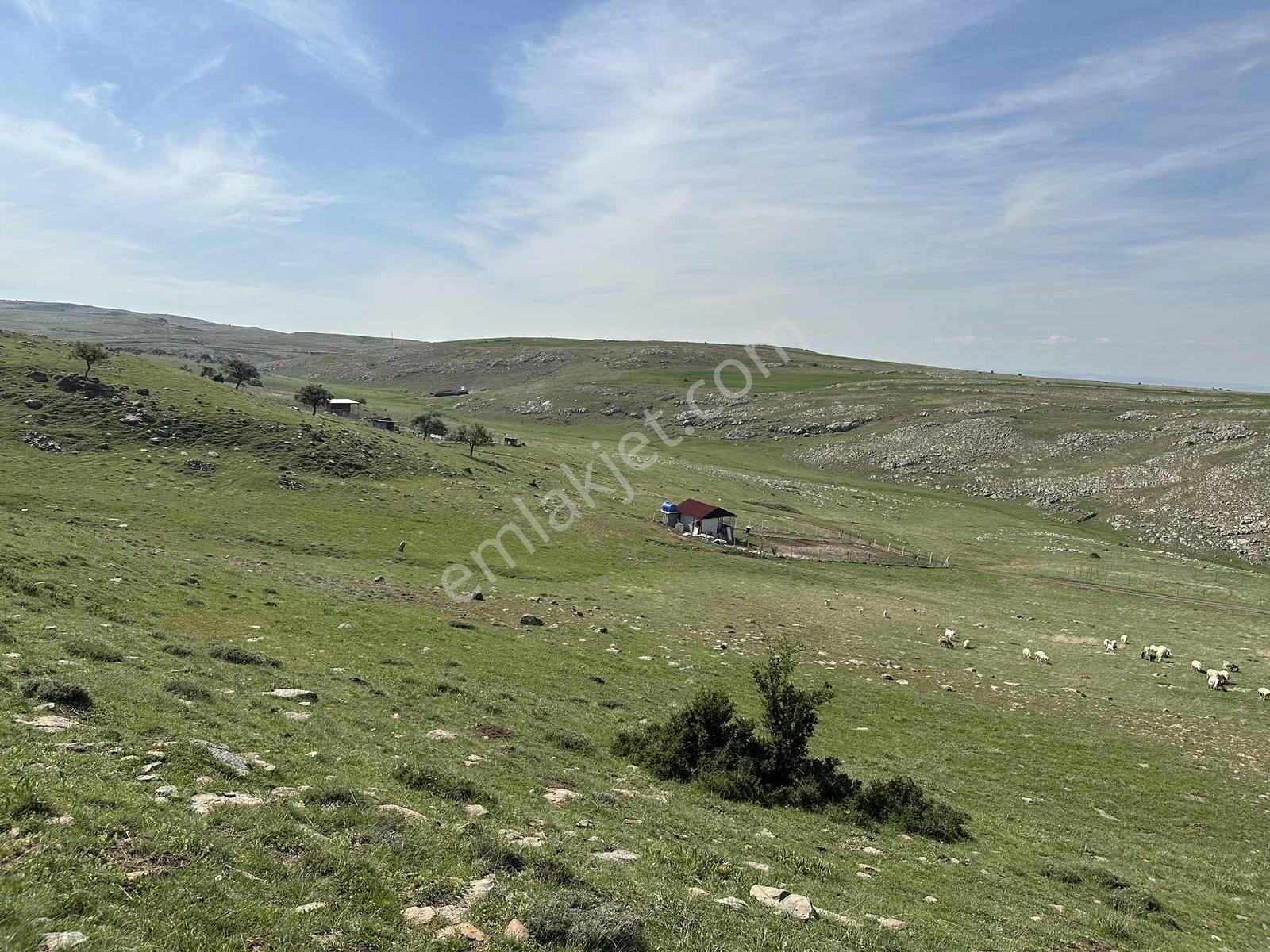 Kıbrıs Beşpınar Mevkii Yatırımlık 193 M2 Hisse - Görsel 13