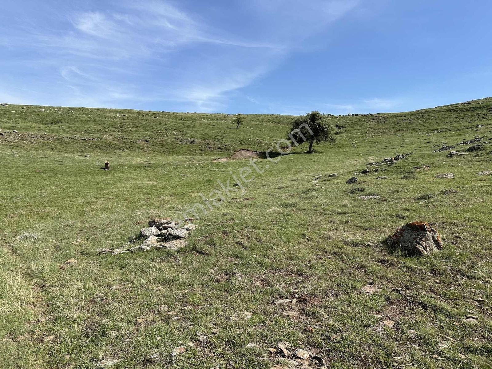 Kıbrıs Beşpınar Mevkii Yatırımlık 193 M2 Hisse - Görsel 17