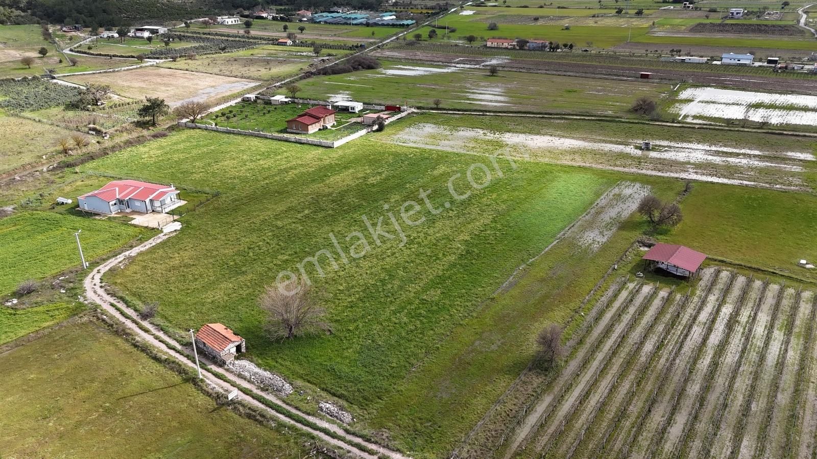 Birgi'de Yerleşime 90 Metre Ev Ve Tarla Vasfıyla Fırsat ! - Görsel 5