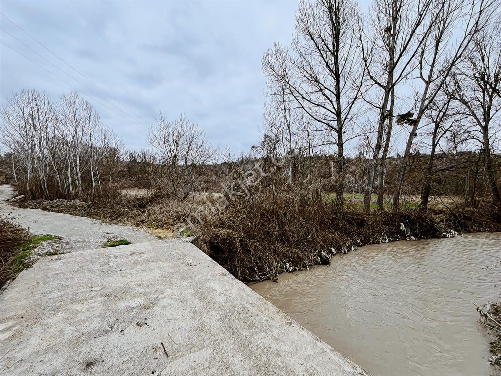 Kastamonu Bozoğlak'ta 5819m Köşe Cephe Tarla Bahçe Tapulu - Görsel 17